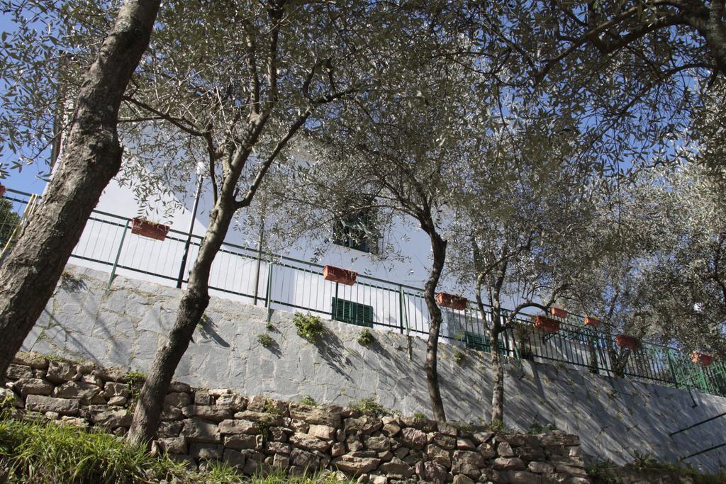 Guest house Holidays' La Spezia